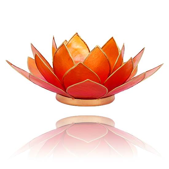 Chakra Lotus Licht, Capiz Teelicht rosa - orange
