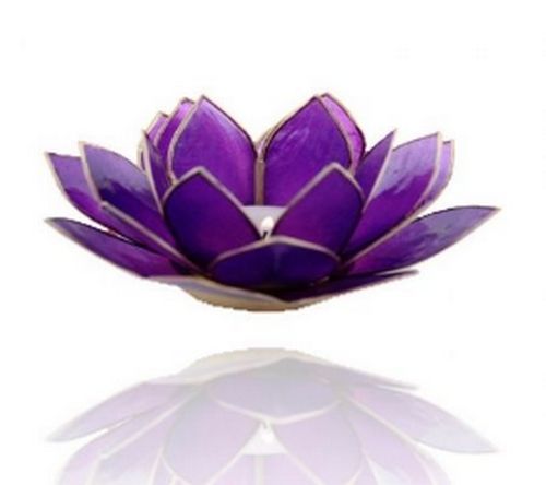 Chakra Lotus Licht, Capiz Teelicht amethystviolett